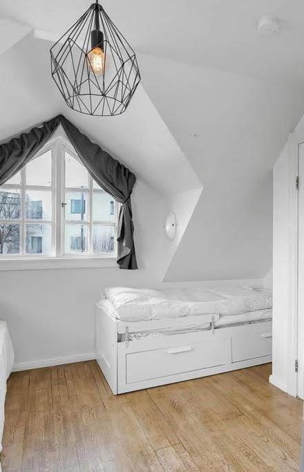 Icelandic Art Garden Villa W. Parking In Centre City Рейкявик Екстериор снимка